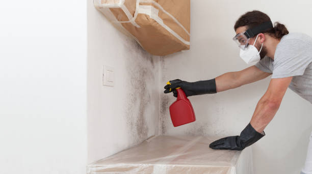 Professional Attic Mold Removal technician working in Newton, NJ