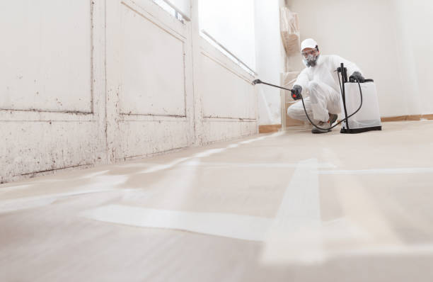 24/7 Emergency Attic Mold Removal experts in Newton, NJ
