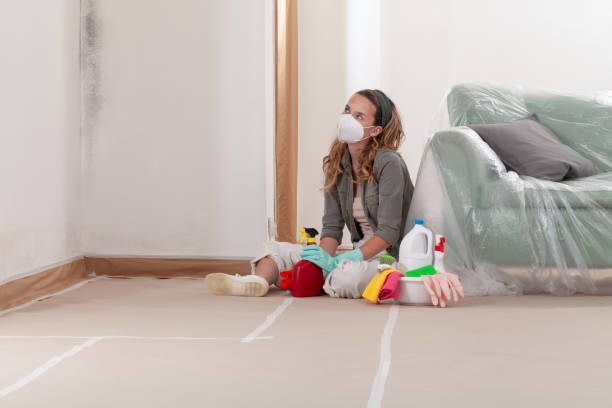 Reliable Attic Mold Removal contractor in Newton, NJ by WQB Mold Removal