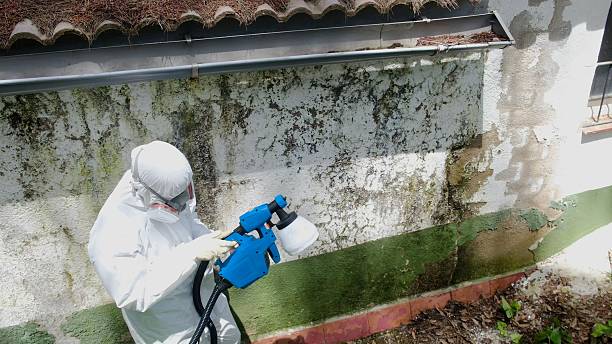 Top rated local Attic Mold Removal specialists in Newton, NJ